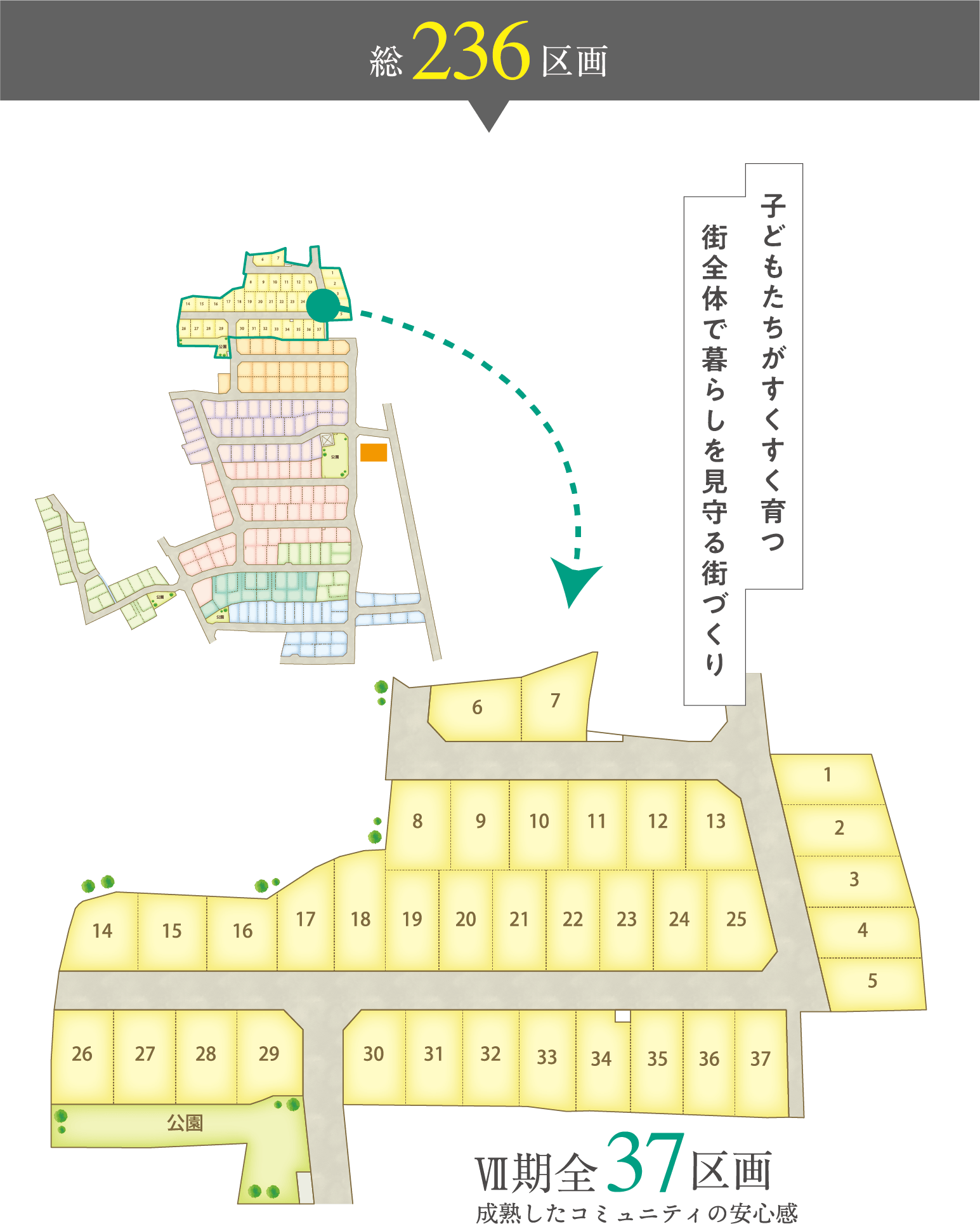 236区画
